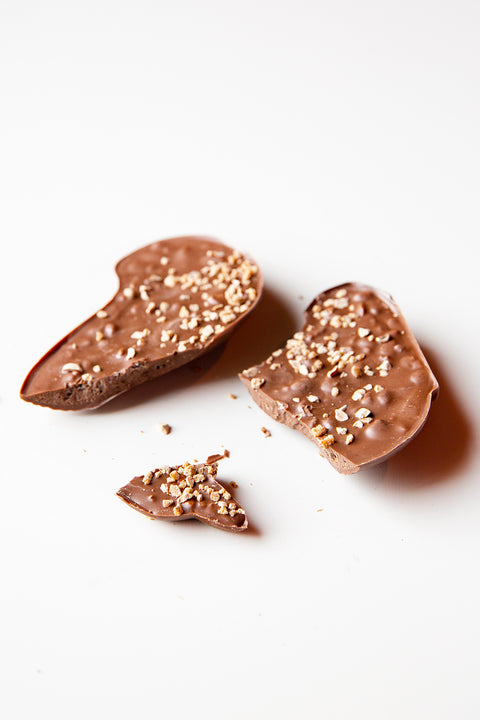 Mr Nutz the milk chocolate praline squirrel (160g)