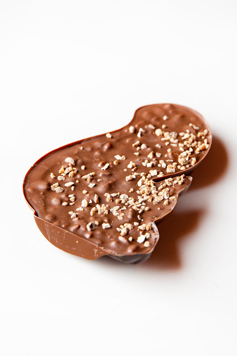 Mr Nutz the milk chocolate praline squirrel (160g)