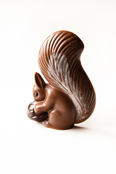 Mr Nutz the milk chocolate praline squirrel (160g)